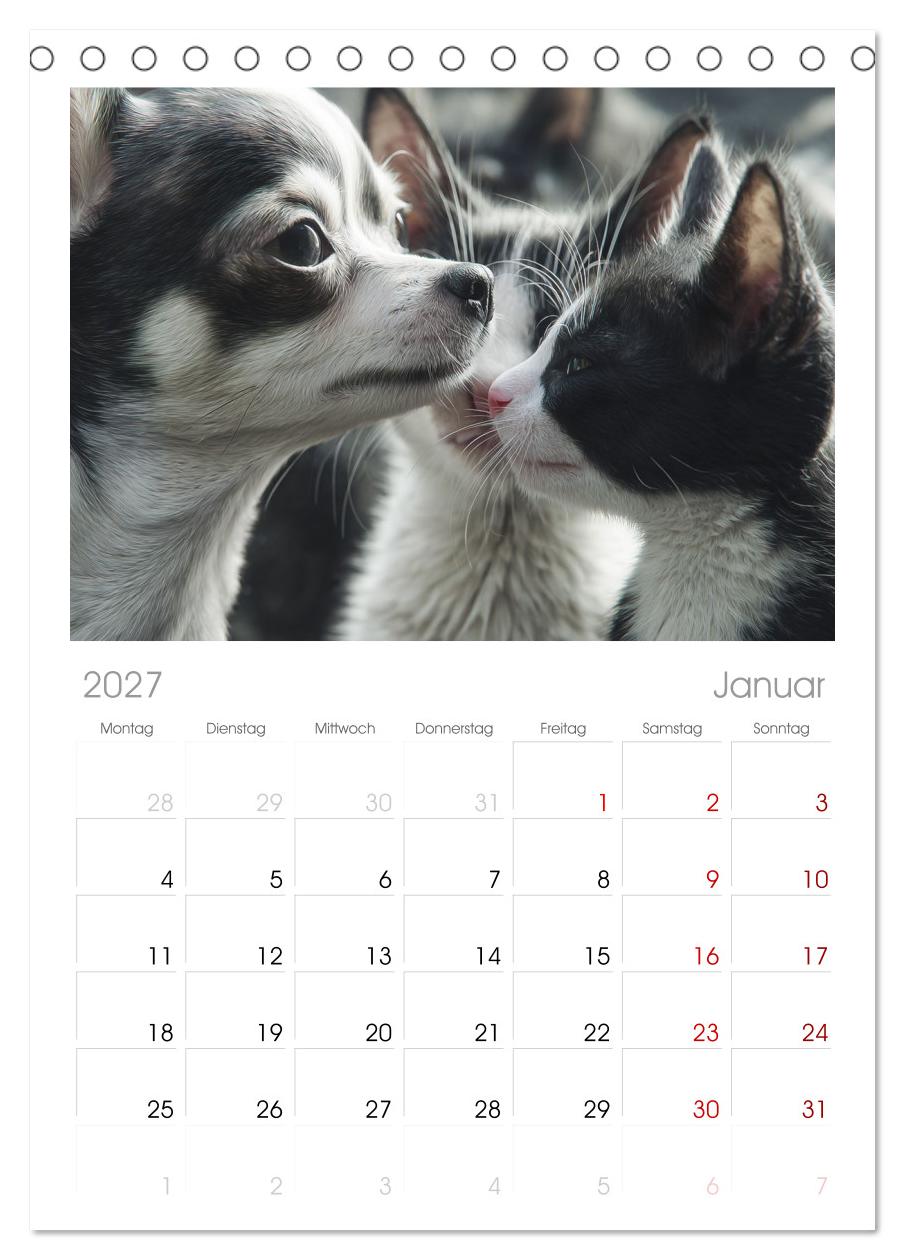 Hund und Katze - Tierische Freunde