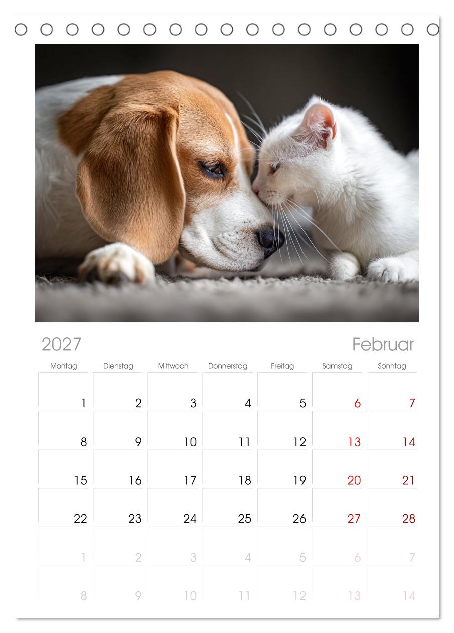 Hund und Katze - Tierische Freunde