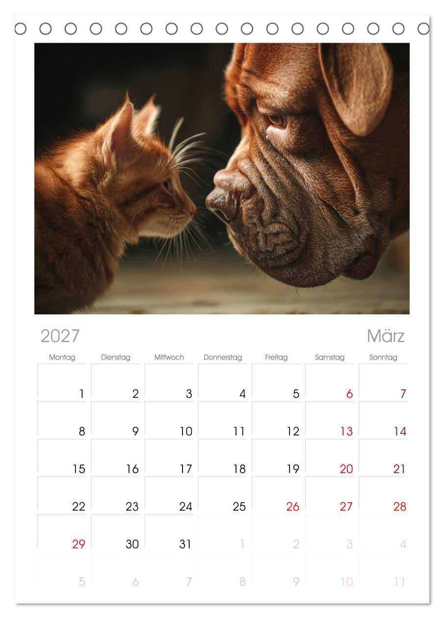 Hund und Katze - Tierische Freunde