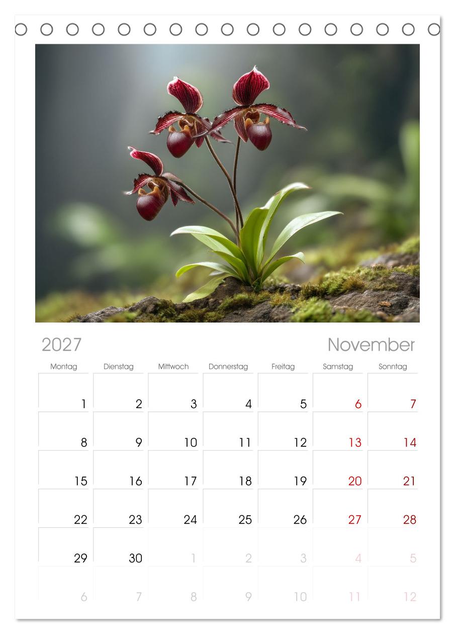 Im Schatten der Orchidee