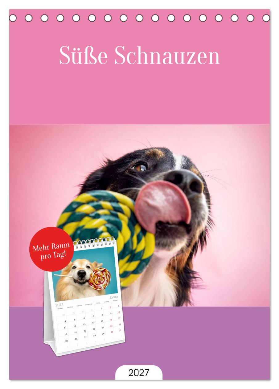 Süße Schnauzen
