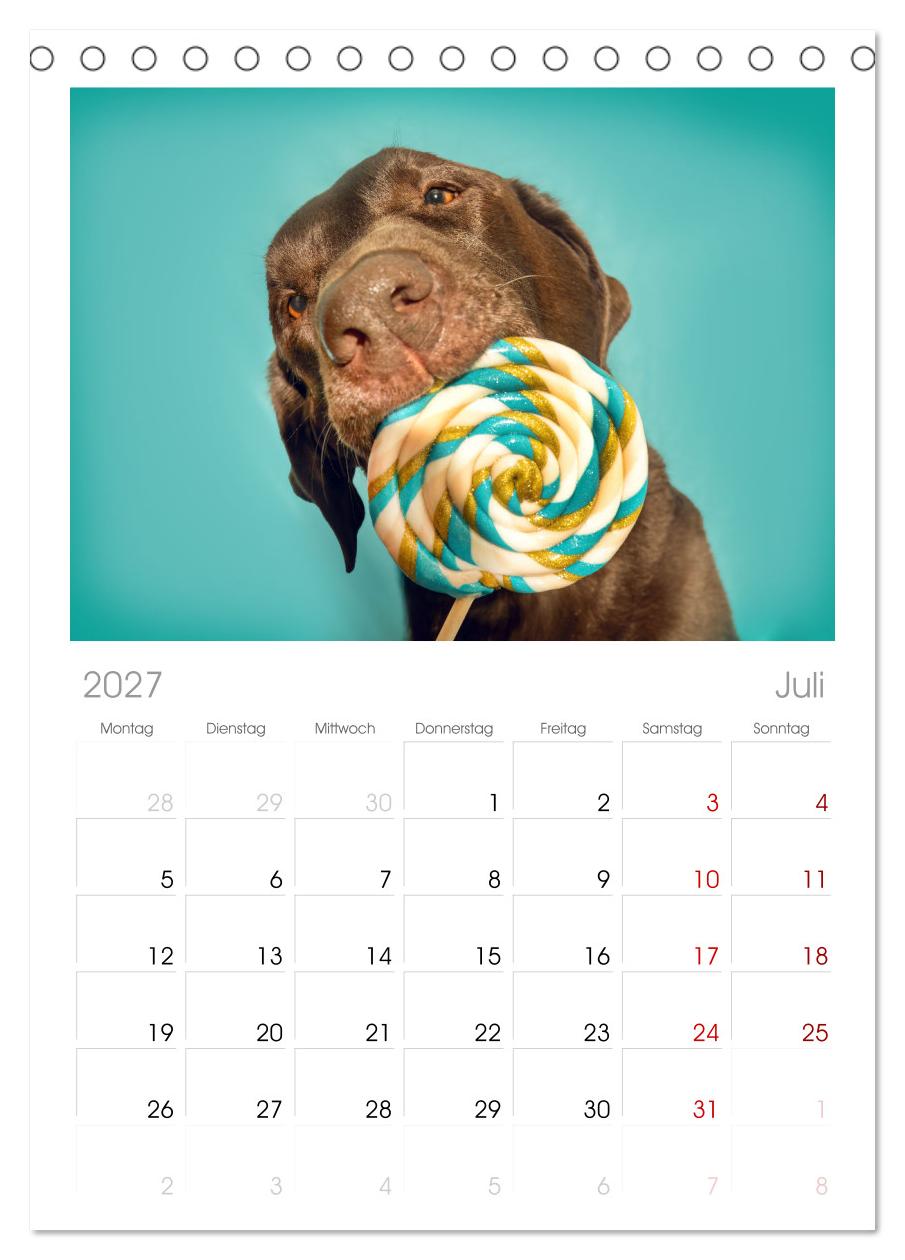 Süße Schnauzen