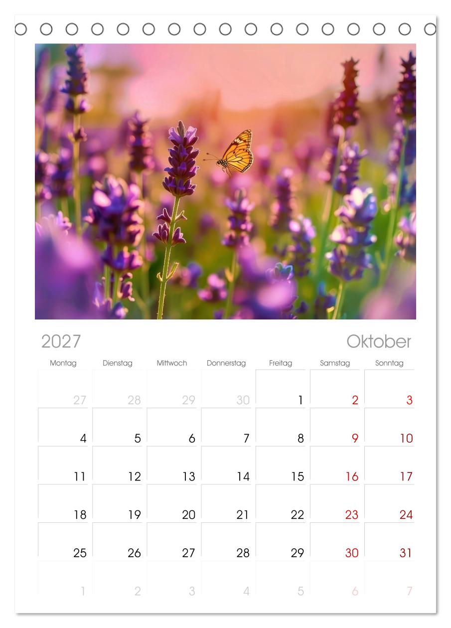 Lavendel für deine Sinne