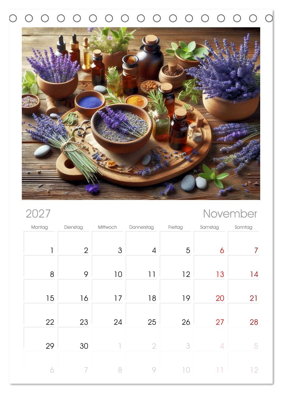 Lavendel für deine Sinne