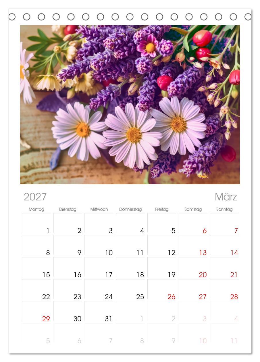 Lavendel für deine Sinne