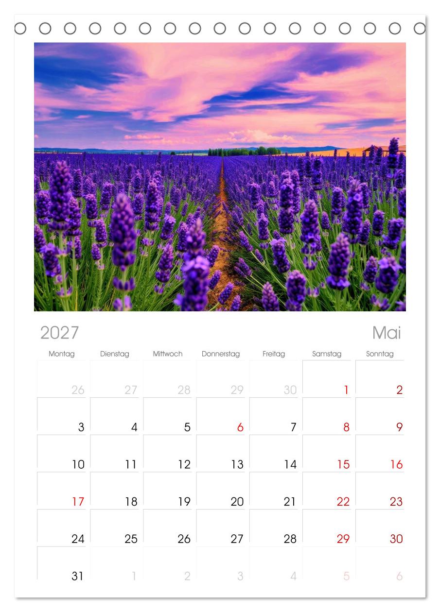 Lavendel für deine Sinne