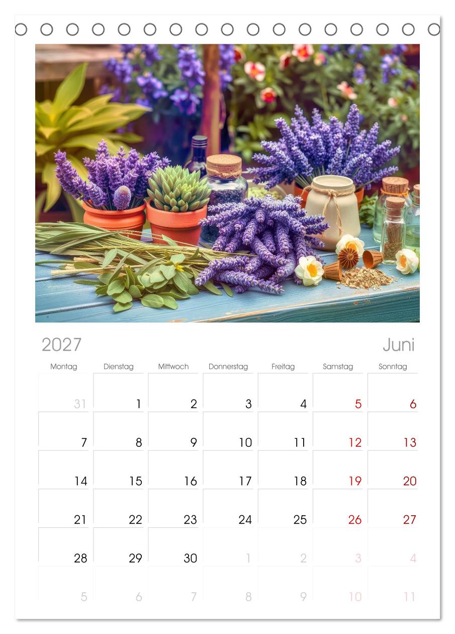 Lavendel für deine Sinne