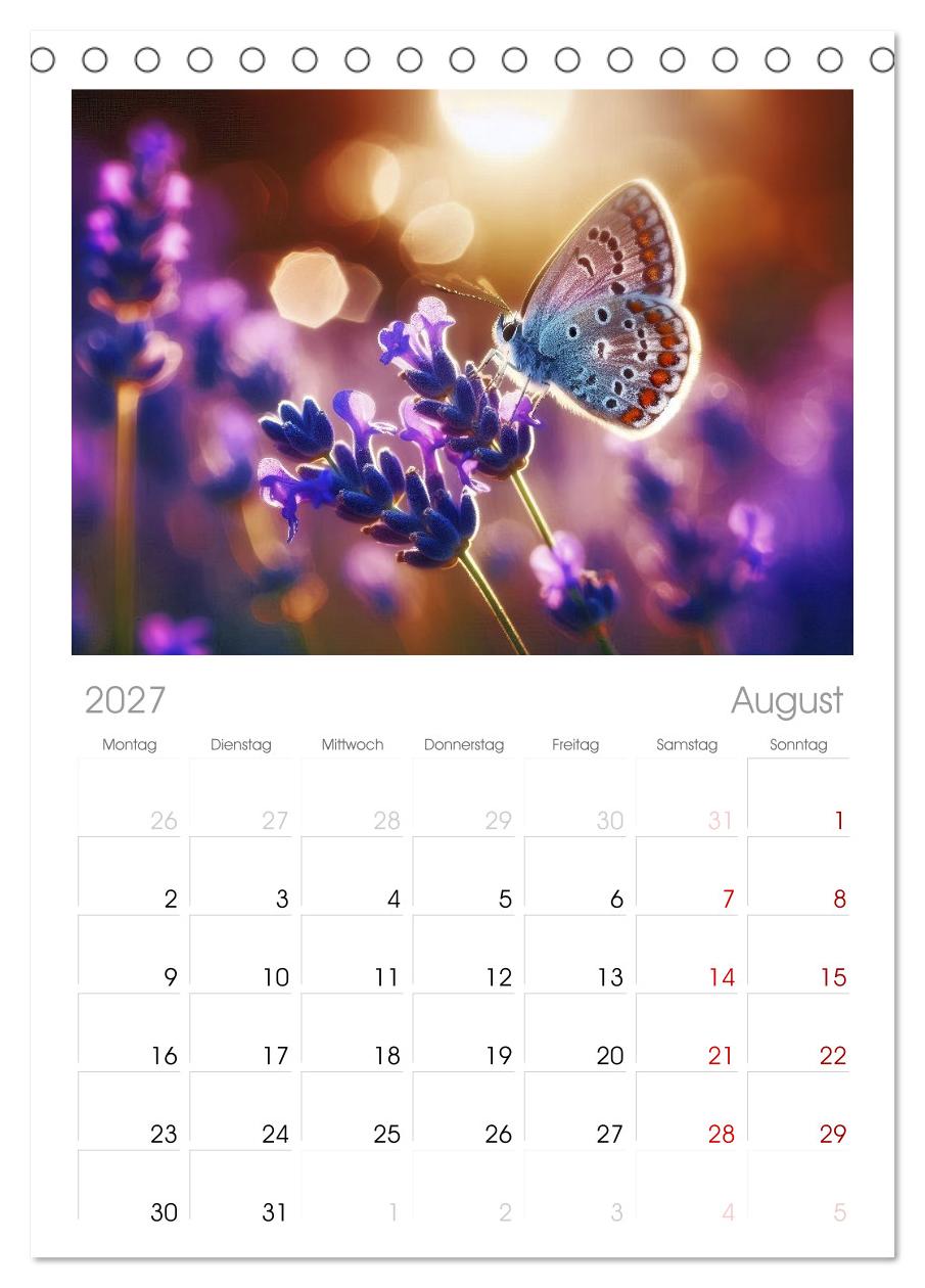 Lavendel für deine Sinne