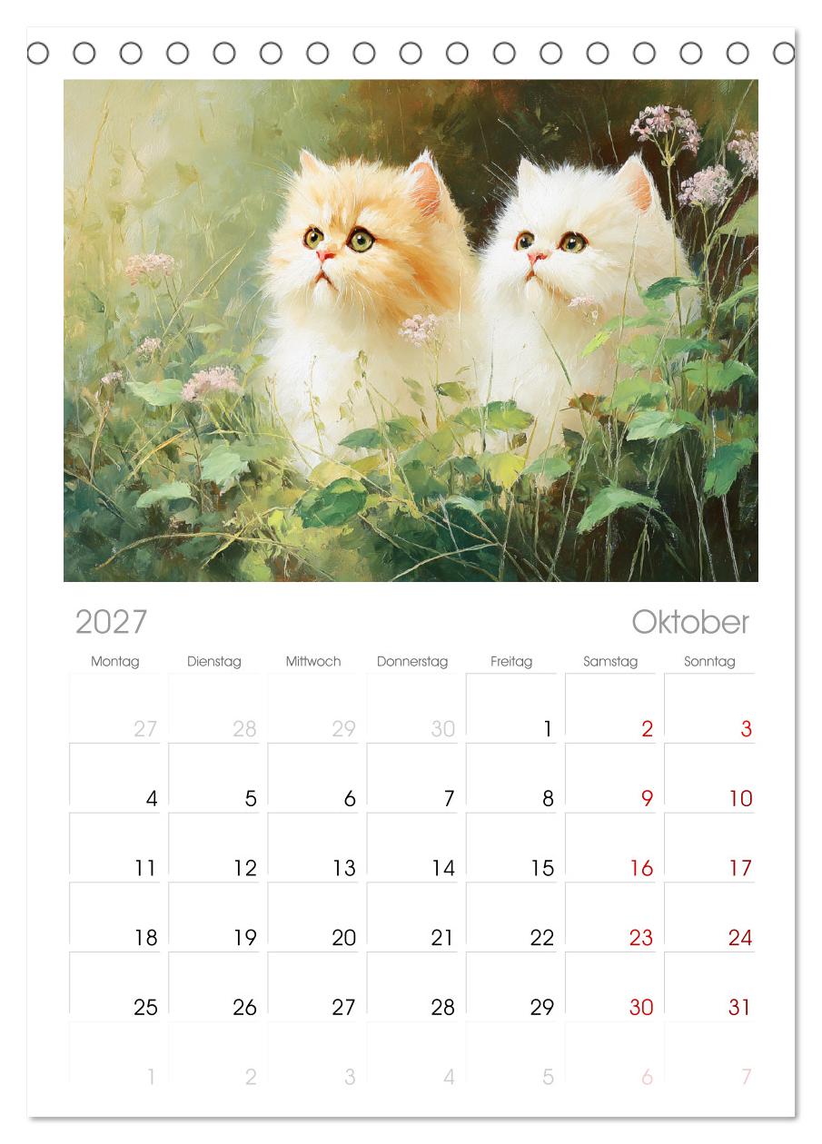 Perserkatzen. Flauschige Momente in kunstvoller Öloptik
