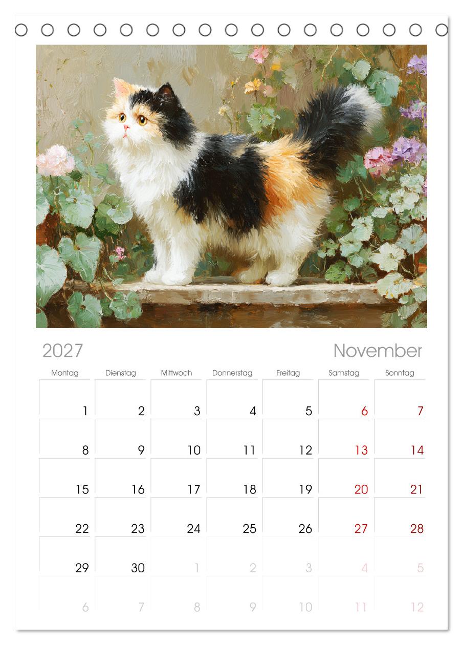 Perserkatzen. Flauschige Momente in kunstvoller Öloptik