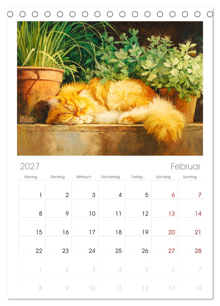 Perserkatzen. Flauschige Momente in kunstvoller Öloptik