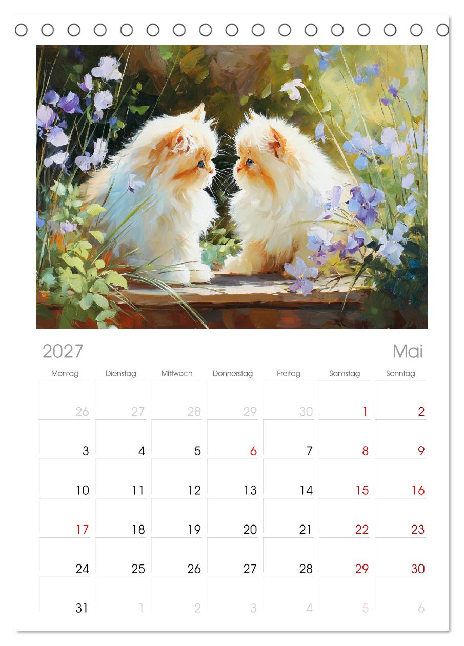 Perserkatzen. Flauschige Momente in kunstvoller Öloptik