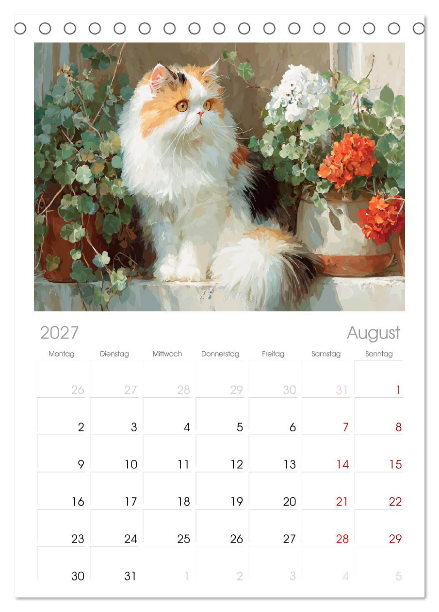 Perserkatzen. Flauschige Momente in kunstvoller Öloptik