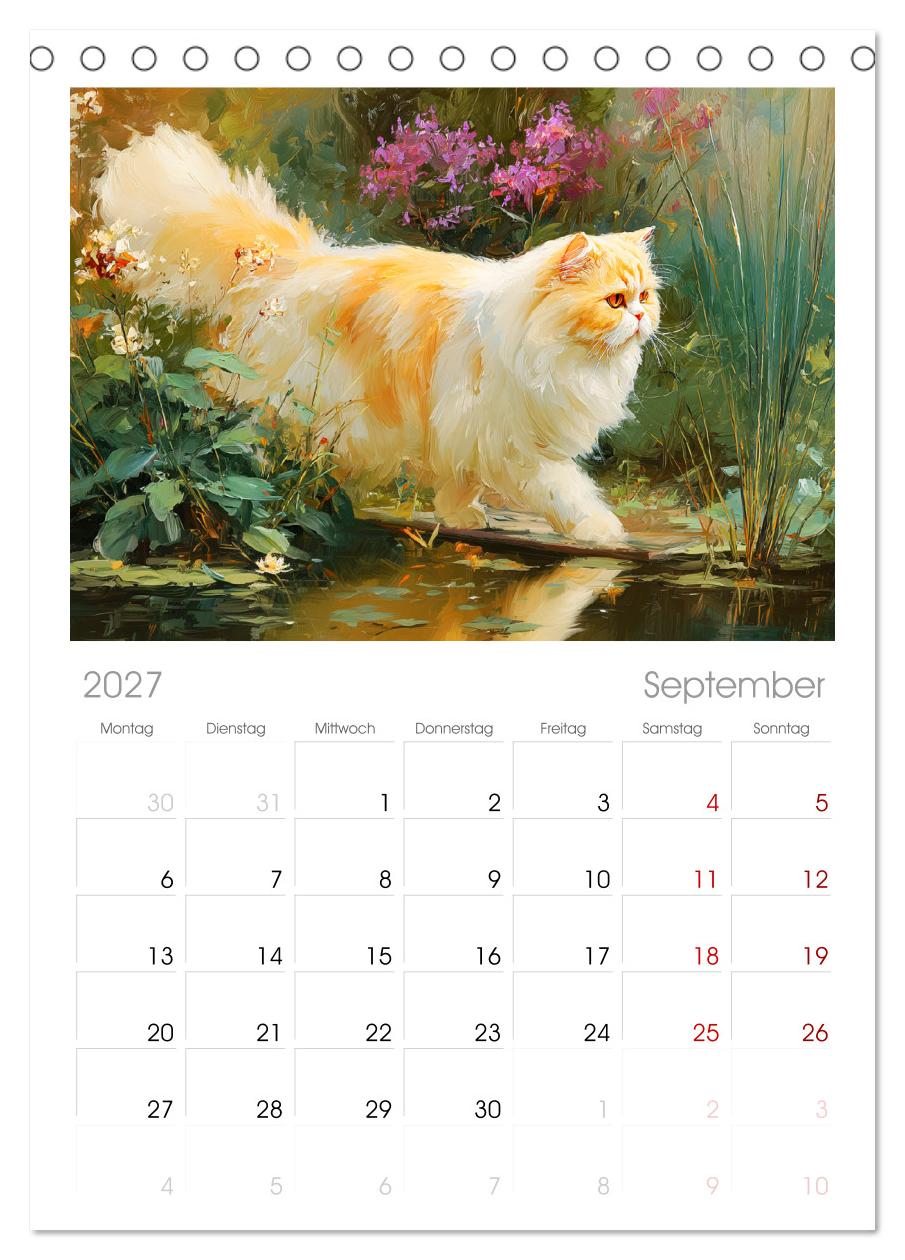 Perserkatzen. Flauschige Momente in kunstvoller Öloptik