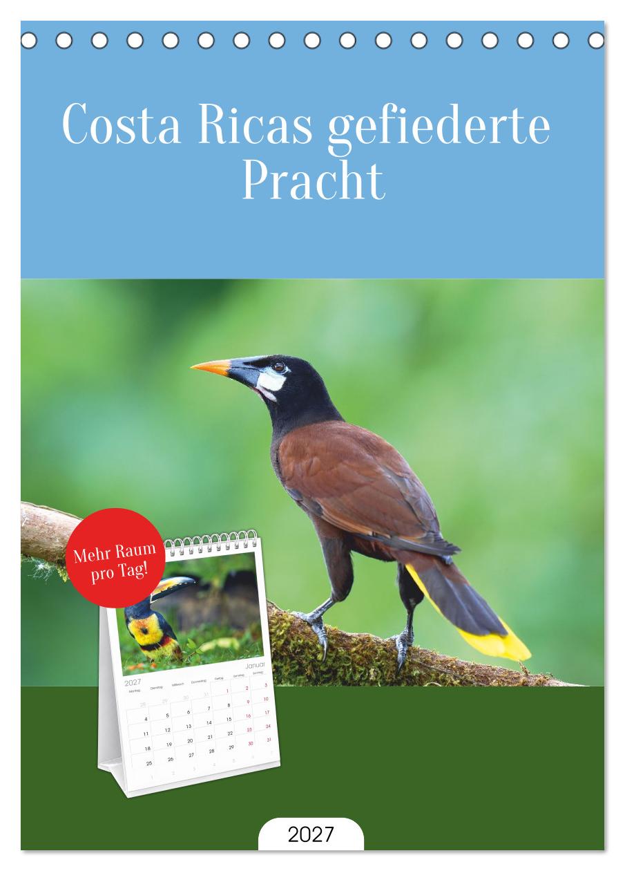 Costa Ricas gefiederte Pracht