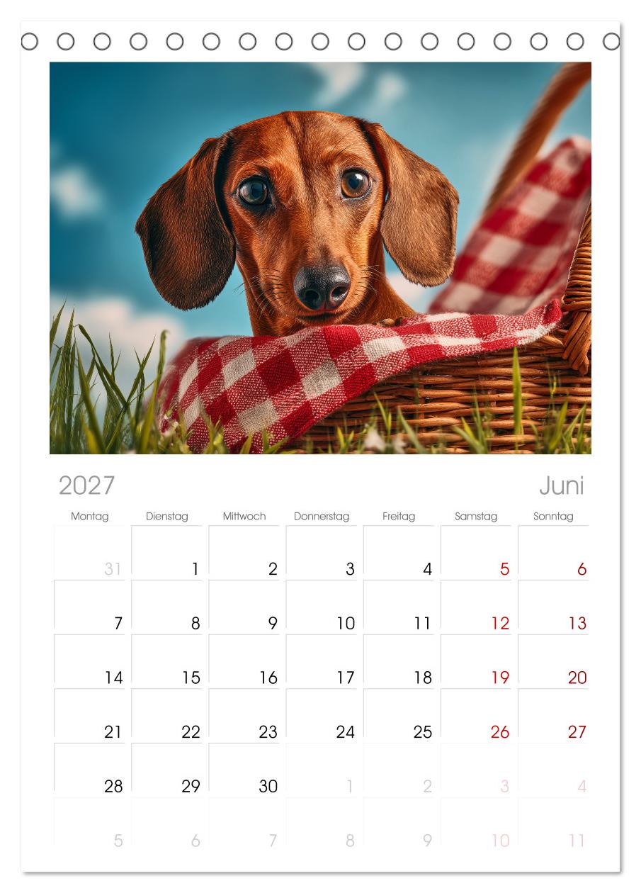 Hundeglück