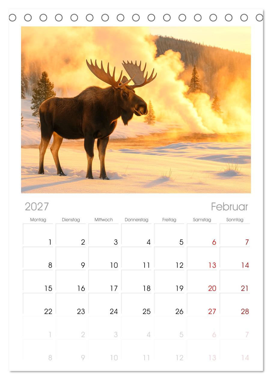USA – von Yellowstone bis Texas - Cowboys, Prärie und Bisons