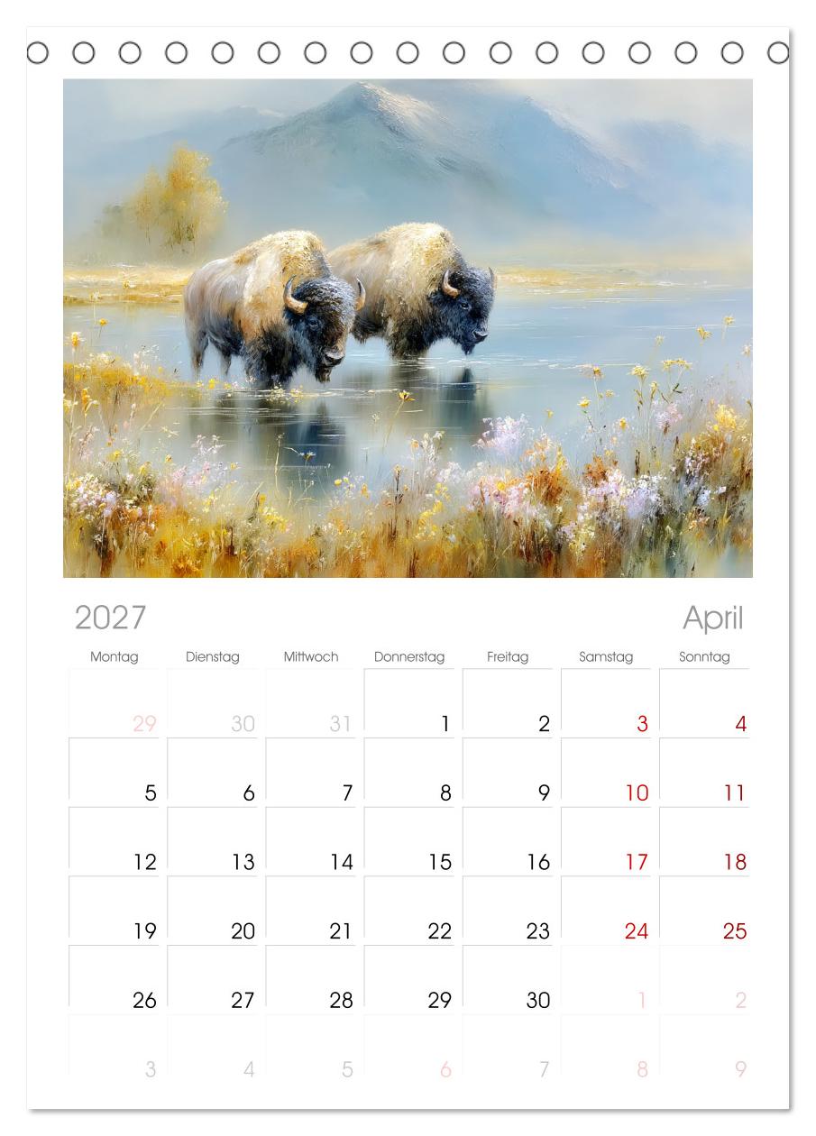 Bisons. Nordamerikas gewaltige Wildrinder