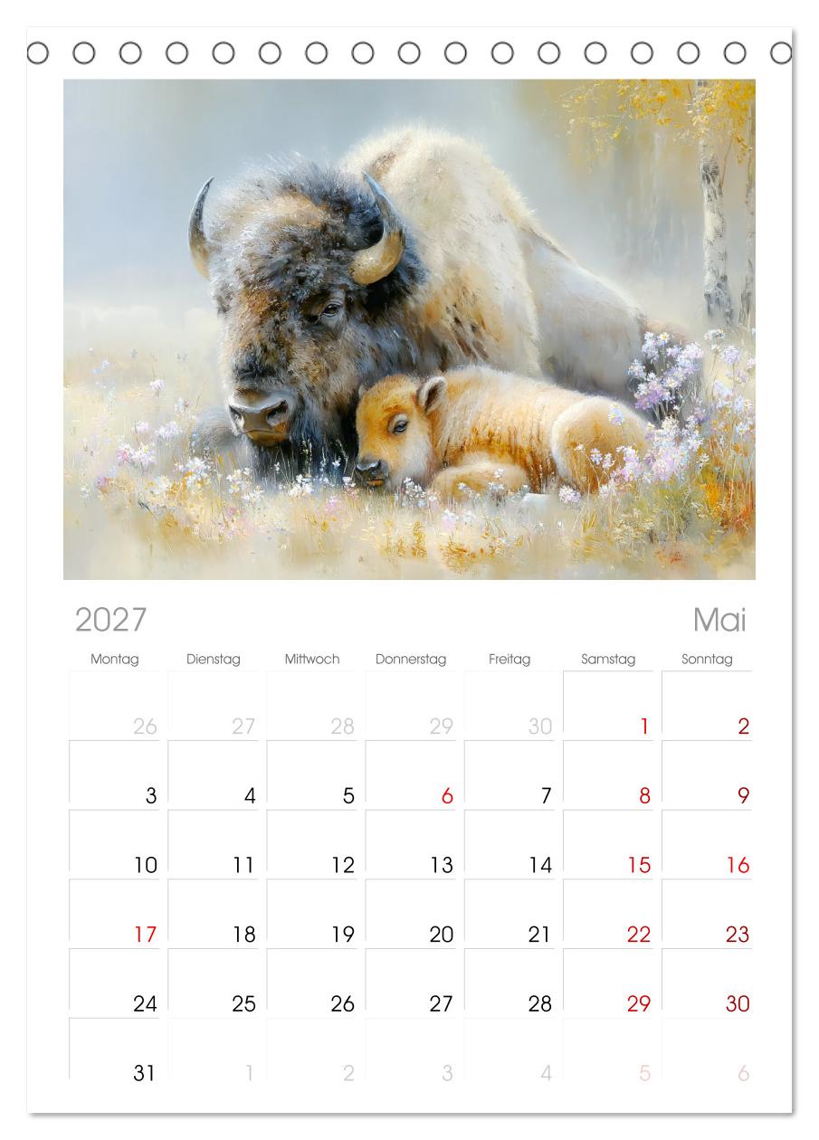 Bisons. Nordamerikas gewaltige Wildrinder
