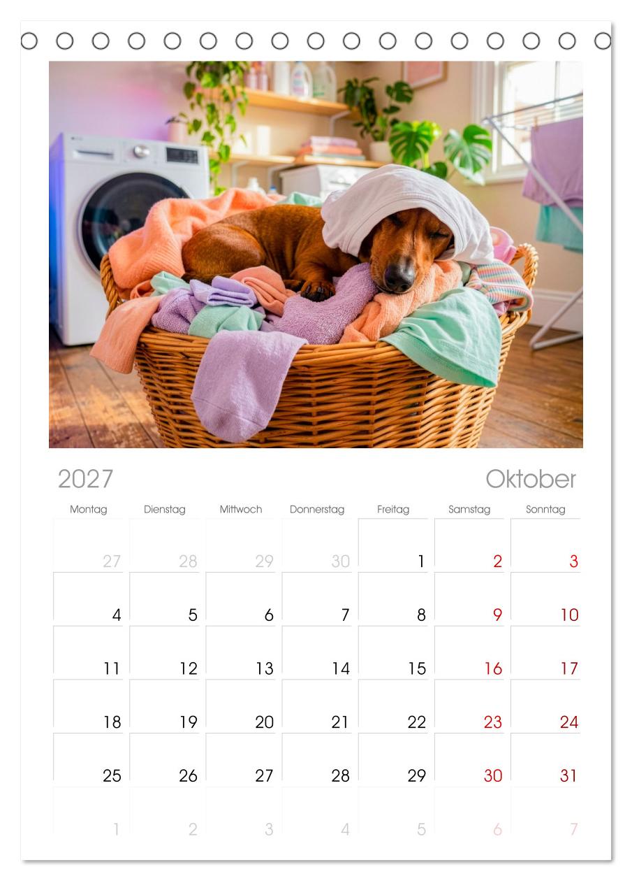 Lazy Dogs - Die faulsten Hunde des Jahres