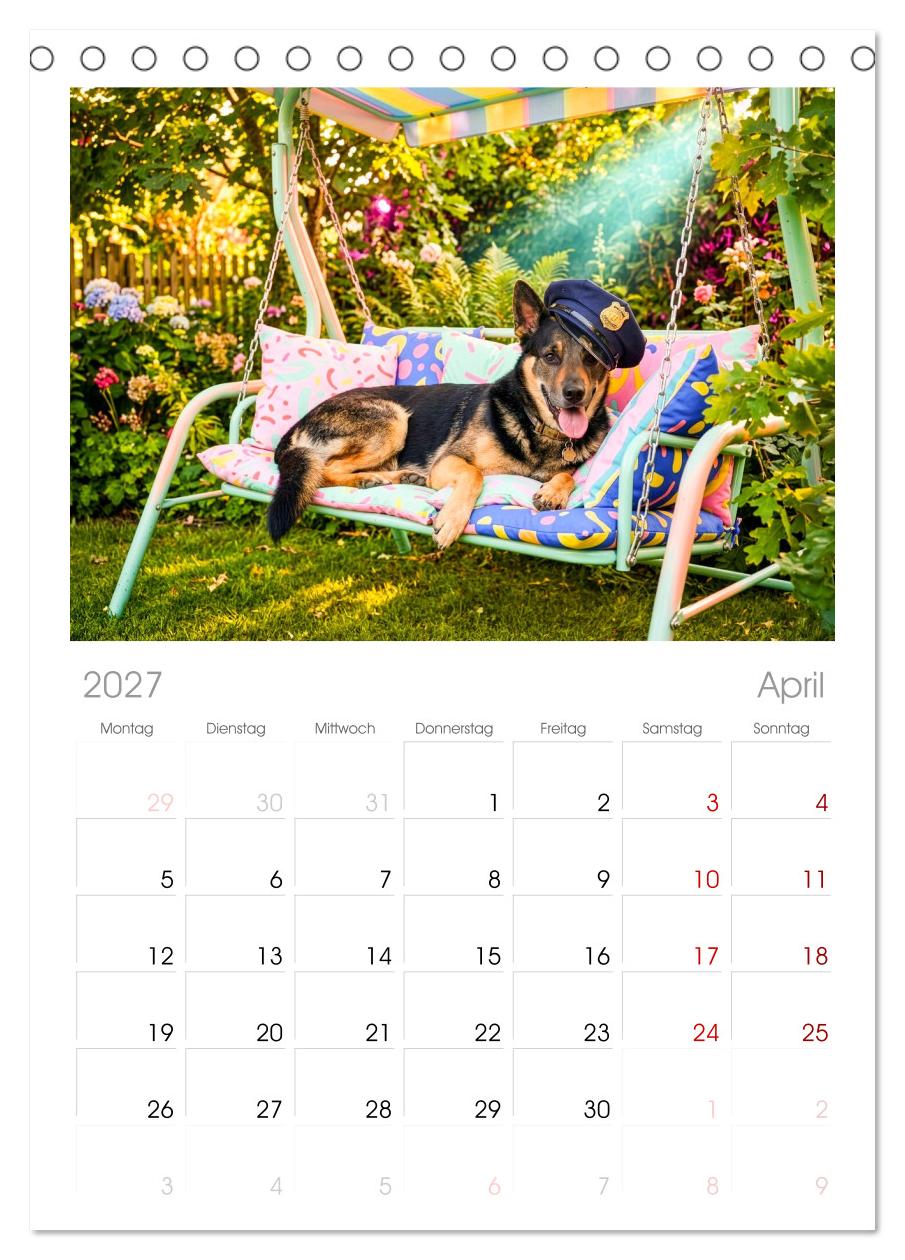 Lazy Dogs - Die faulsten Hunde des Jahres
