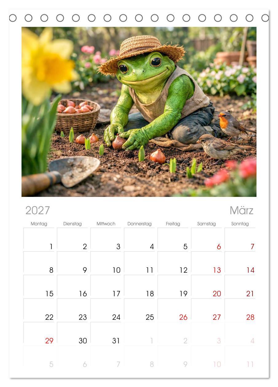 Frosch im Garten