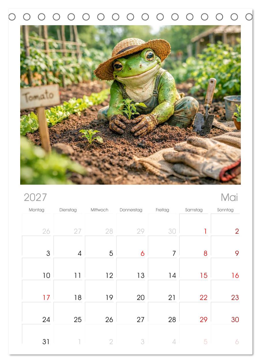 Frosch im Garten