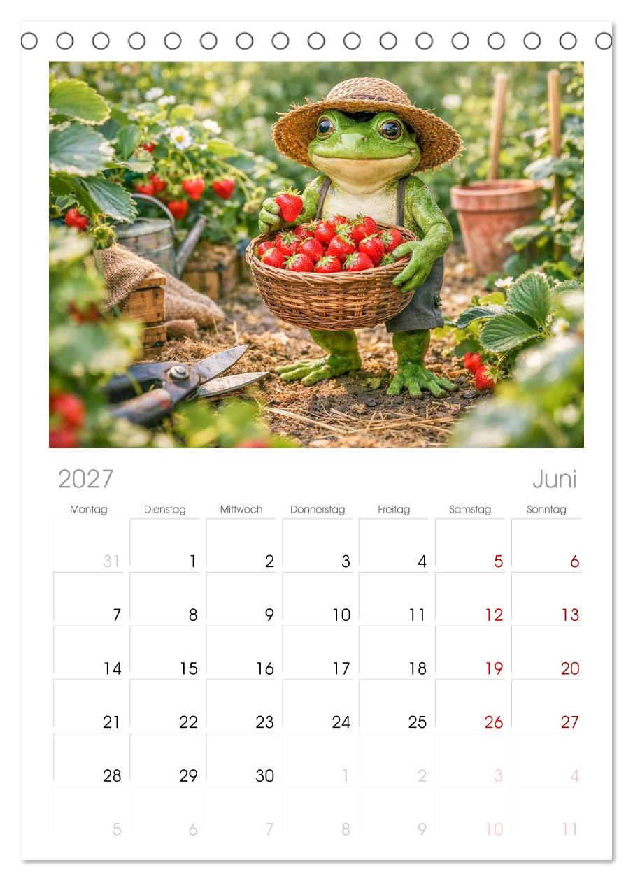 Frosch im Garten