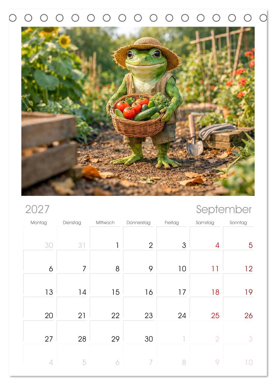 Frosch im Garten