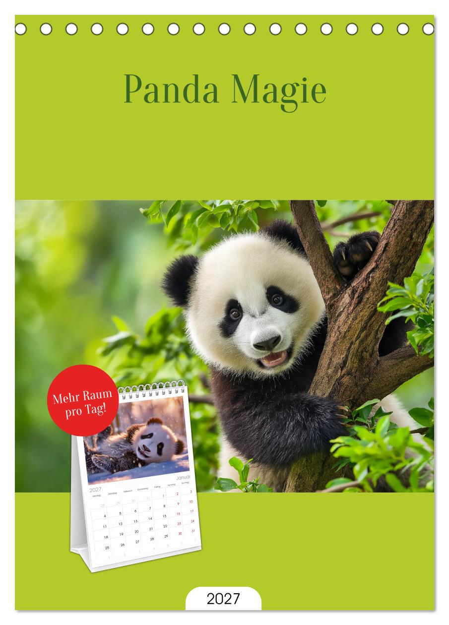 Panda Magie