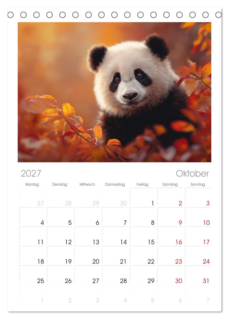 Panda Magie