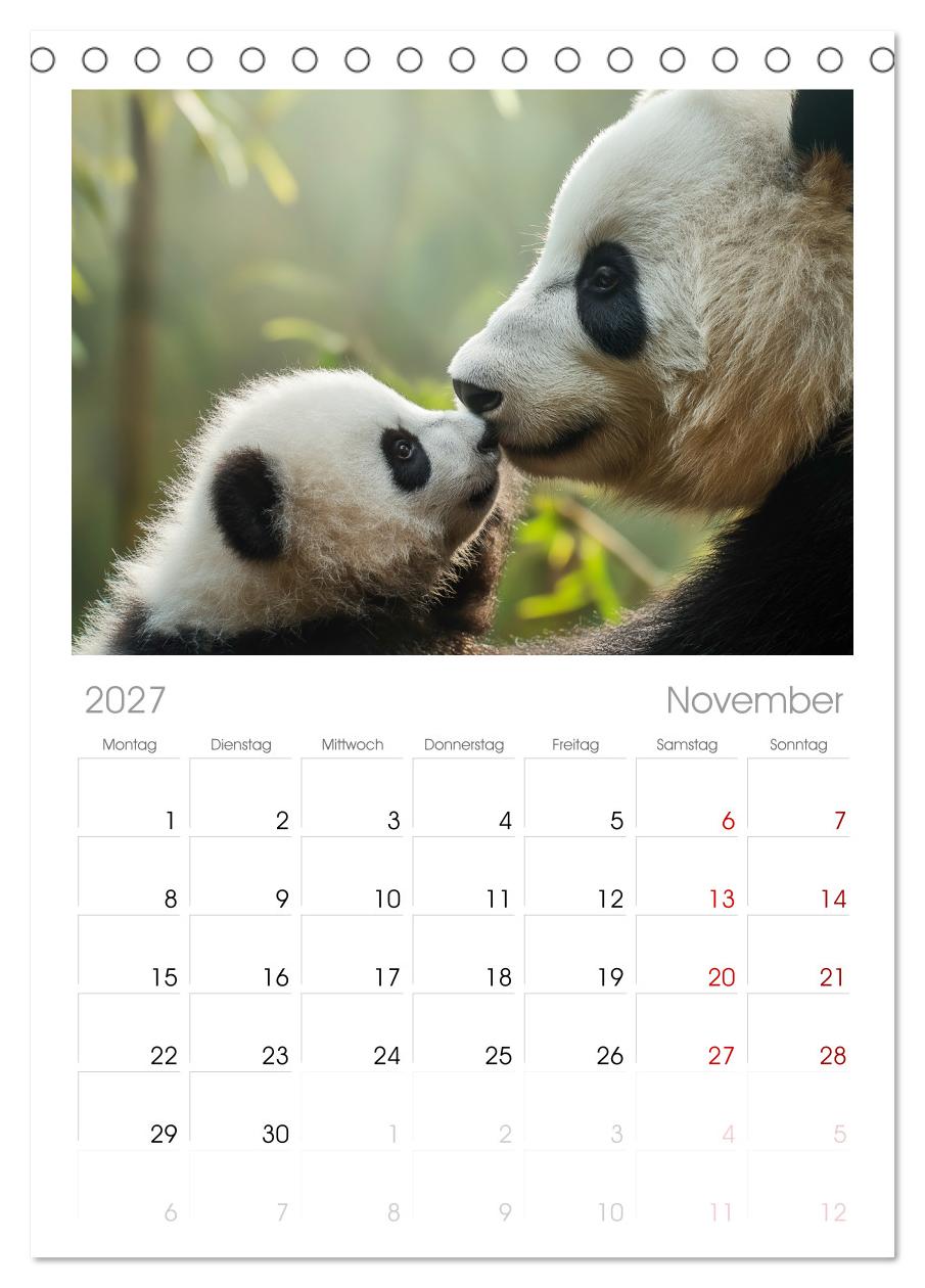 Panda Magie