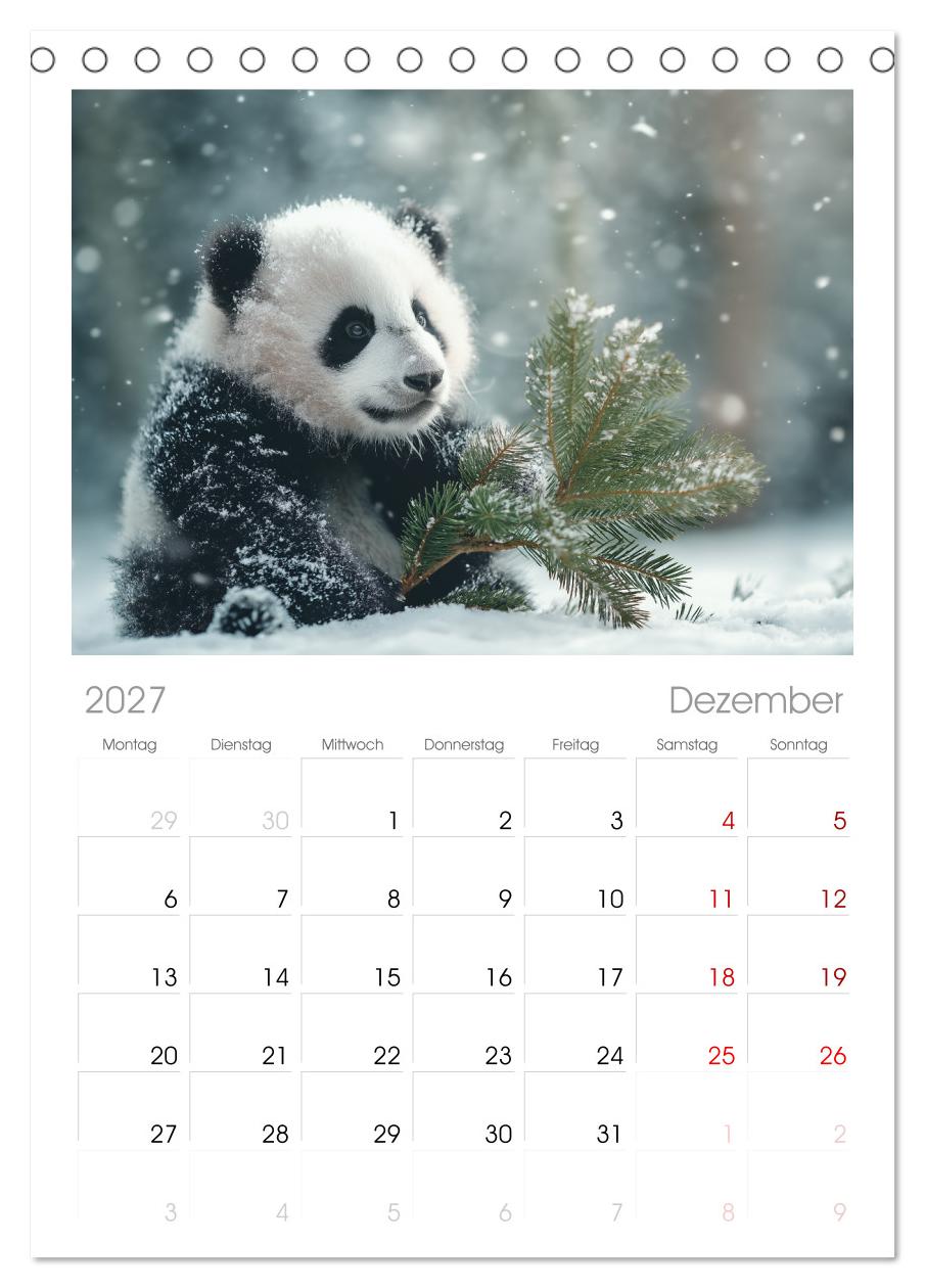Panda Magie