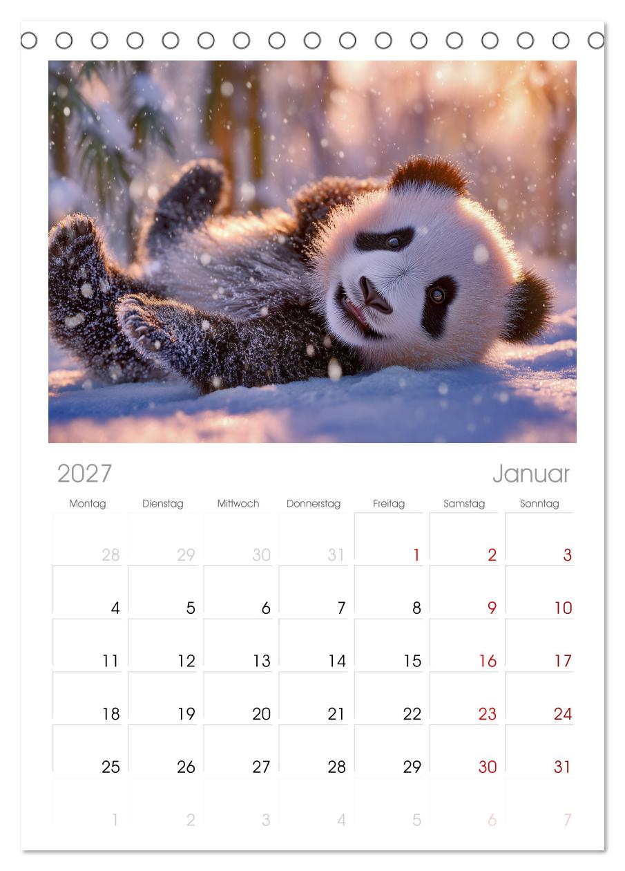 Panda Magie