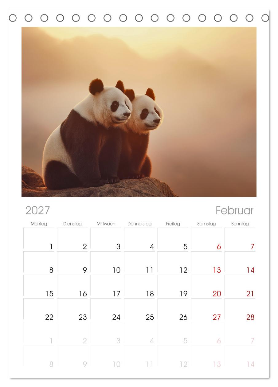 Panda Magie