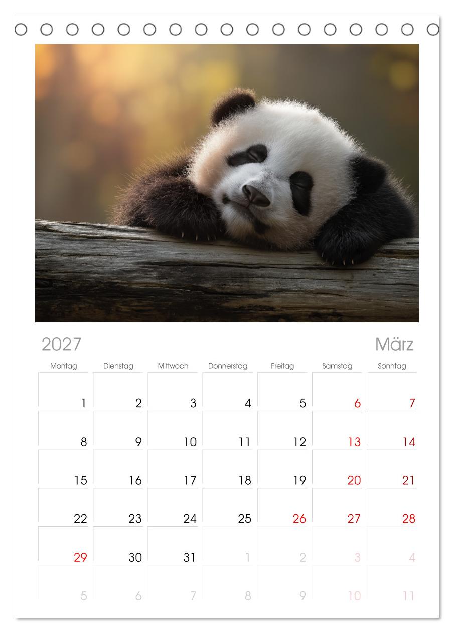 Panda Magie