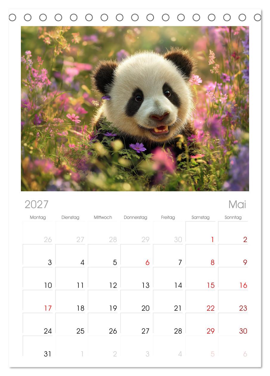 Panda Magie