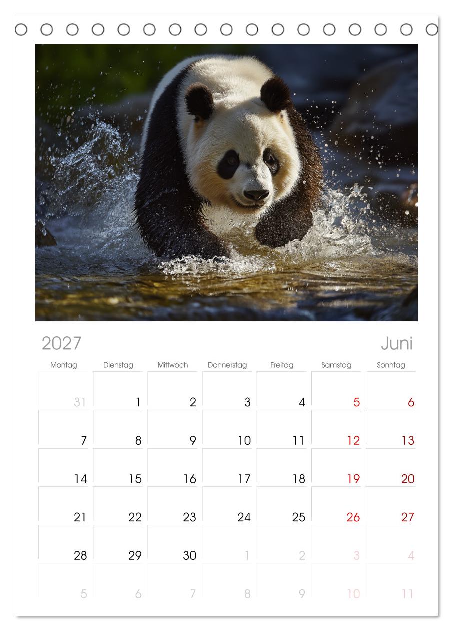 Panda Magie