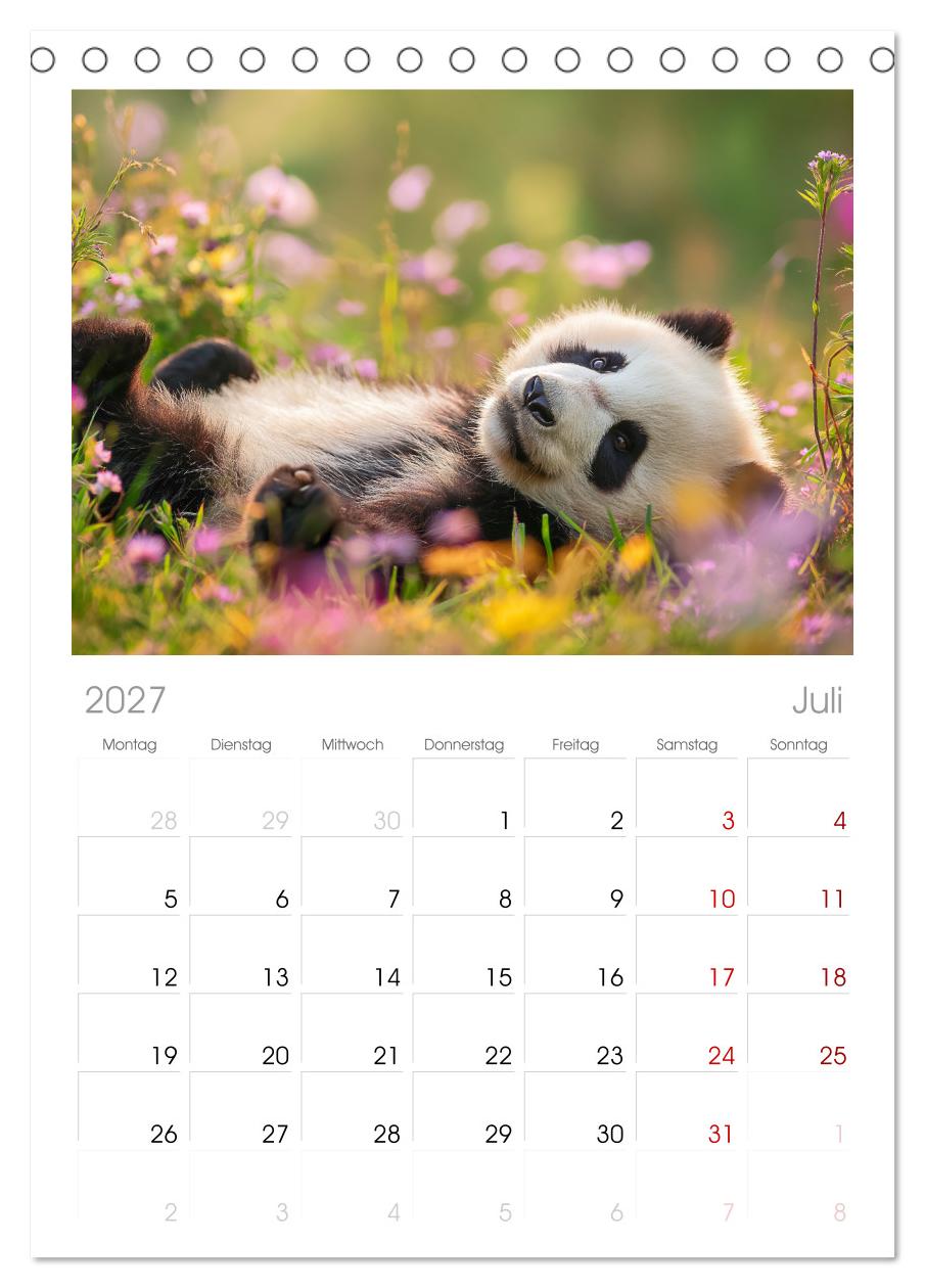 Panda Magie