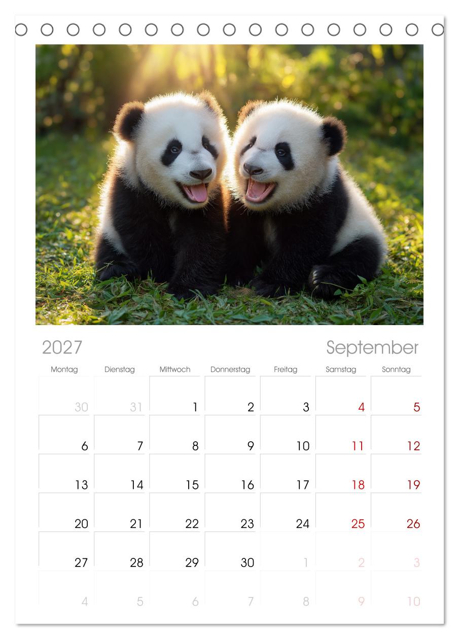 Panda Magie