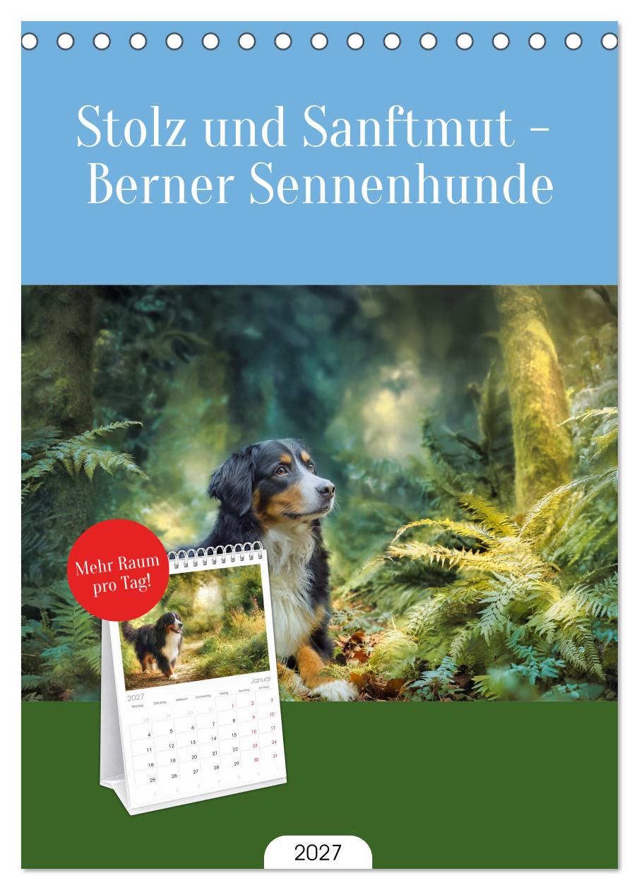 Stolz und Sanftmut - Berner Sennenhunde