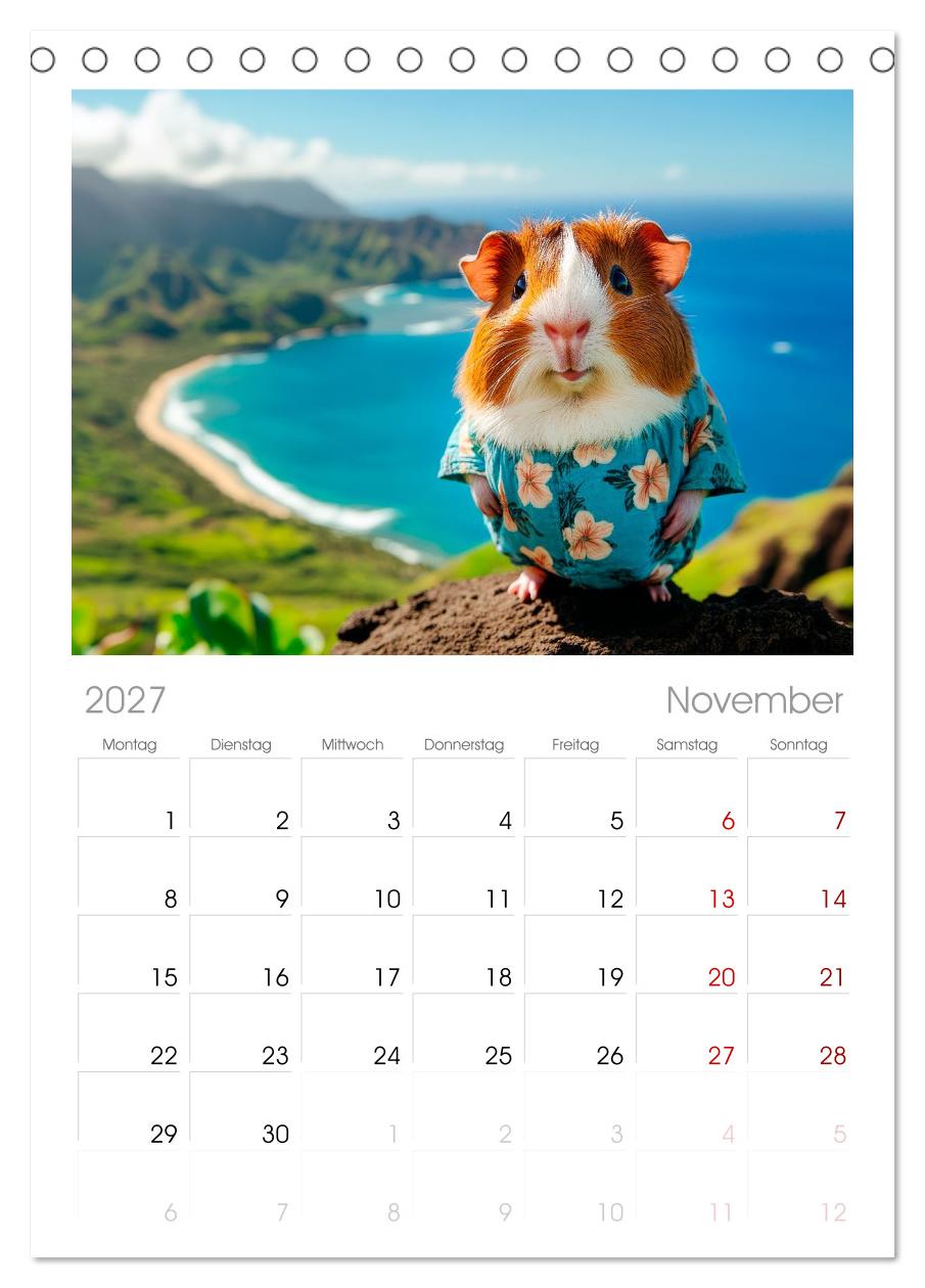 Meerschweinchen - Hauptsache Urlaub