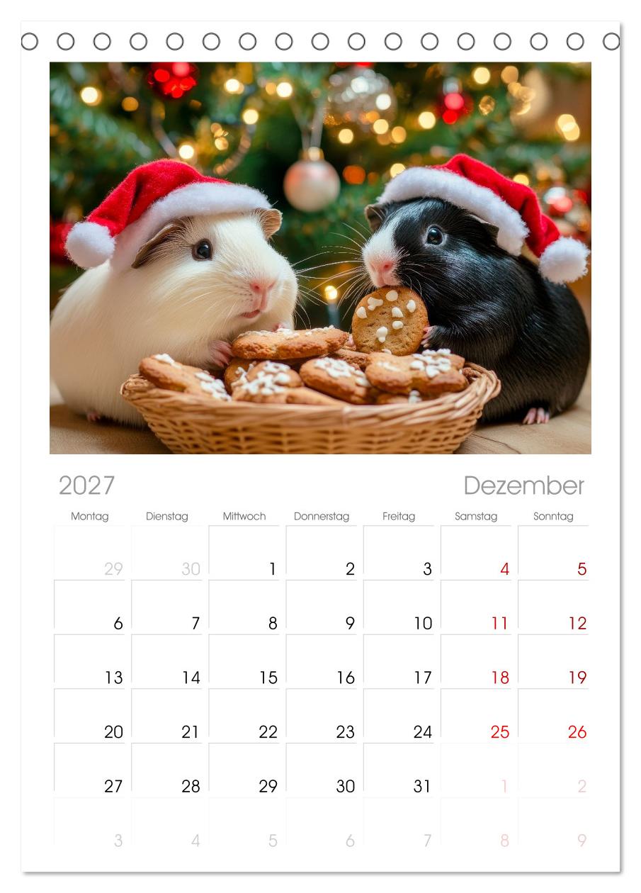 Meerschweinchen - Hauptsache Urlaub