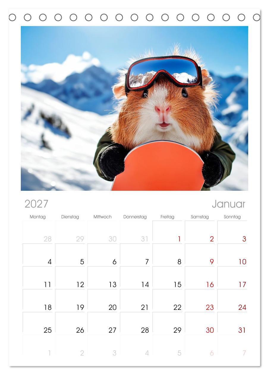 Meerschweinchen - Hauptsache Urlaub