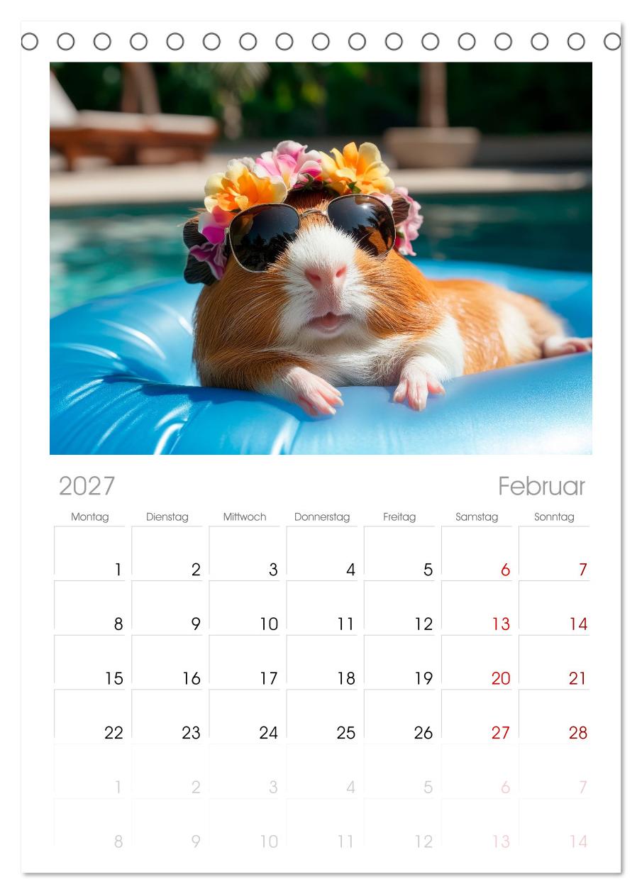 Meerschweinchen - Hauptsache Urlaub