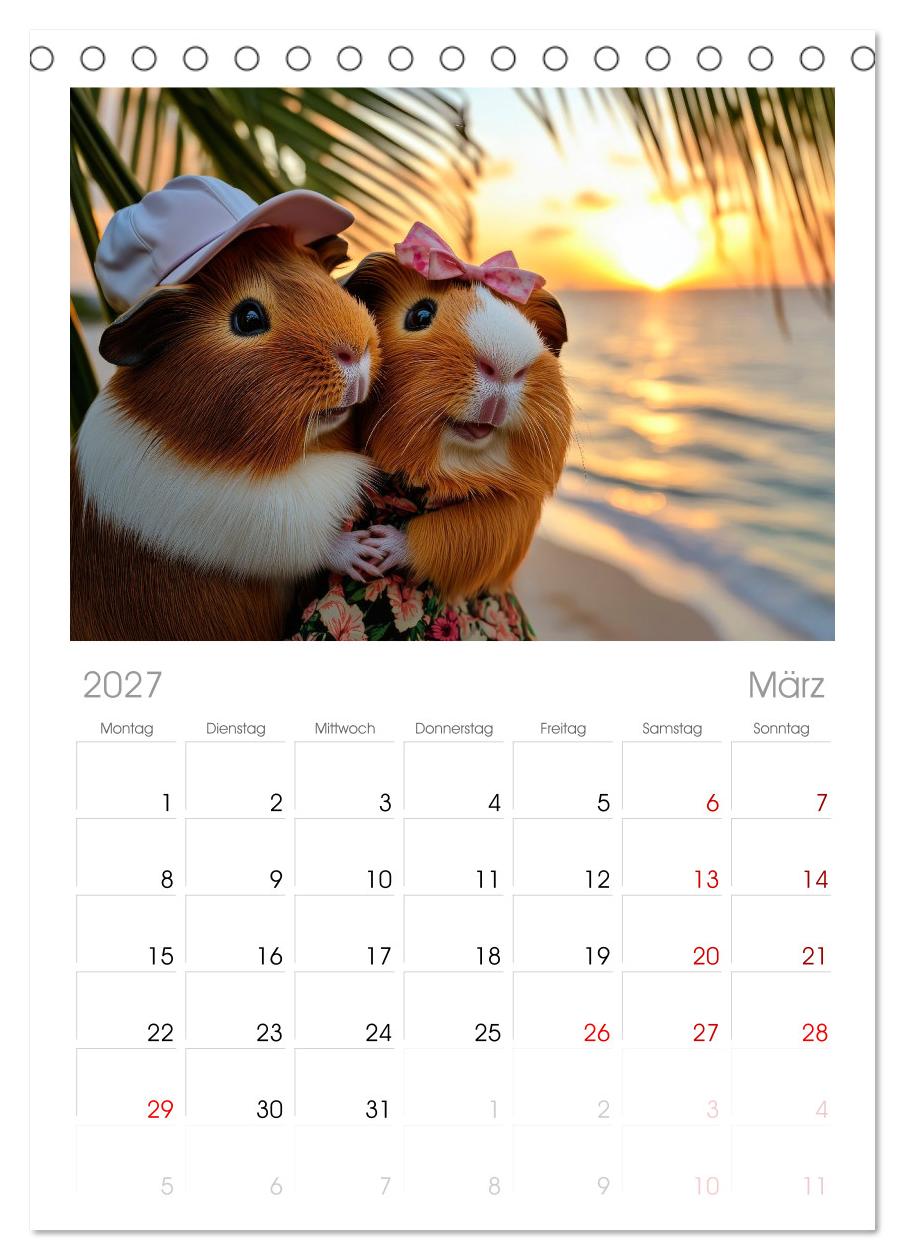 Meerschweinchen - Hauptsache Urlaub