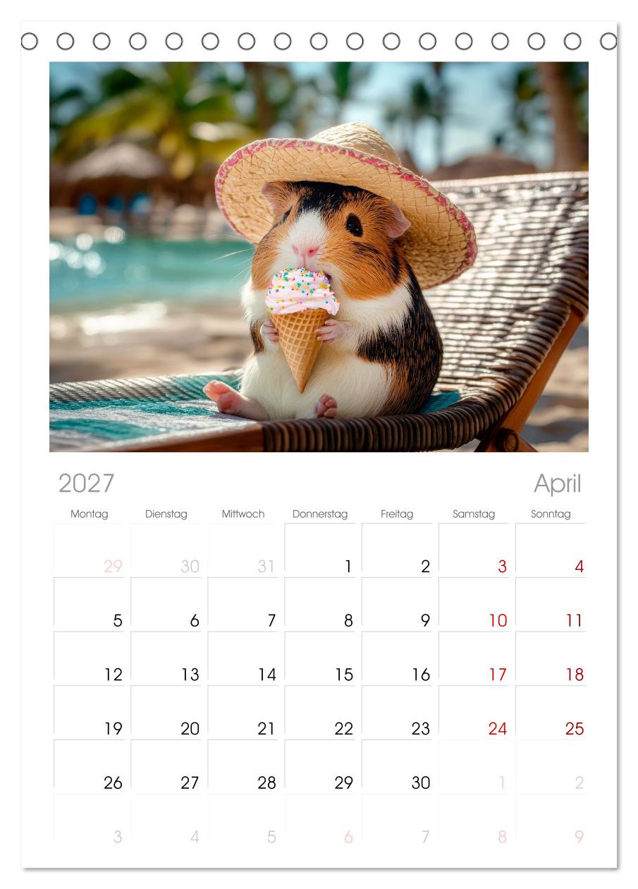 Meerschweinchen - Hauptsache Urlaub