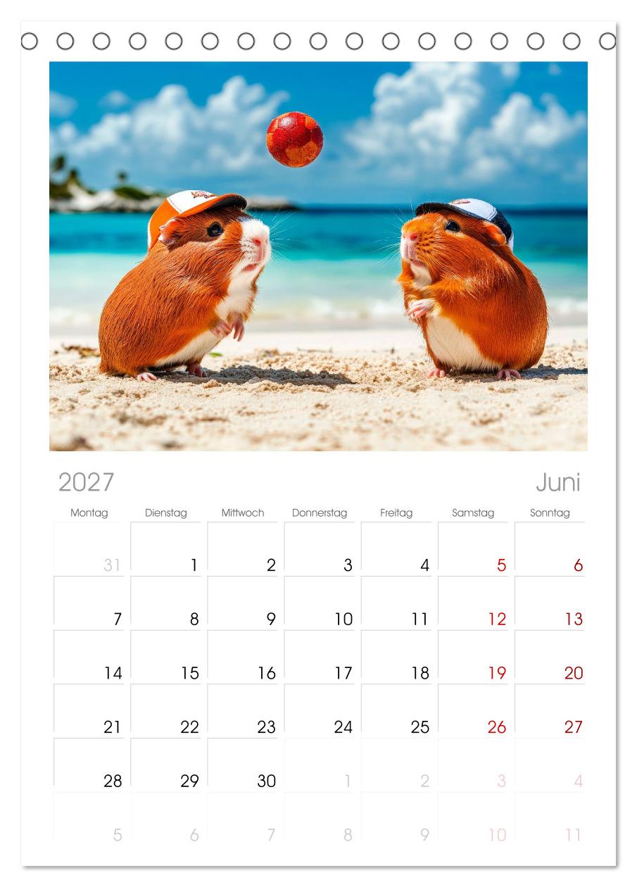 Meerschweinchen - Hauptsache Urlaub