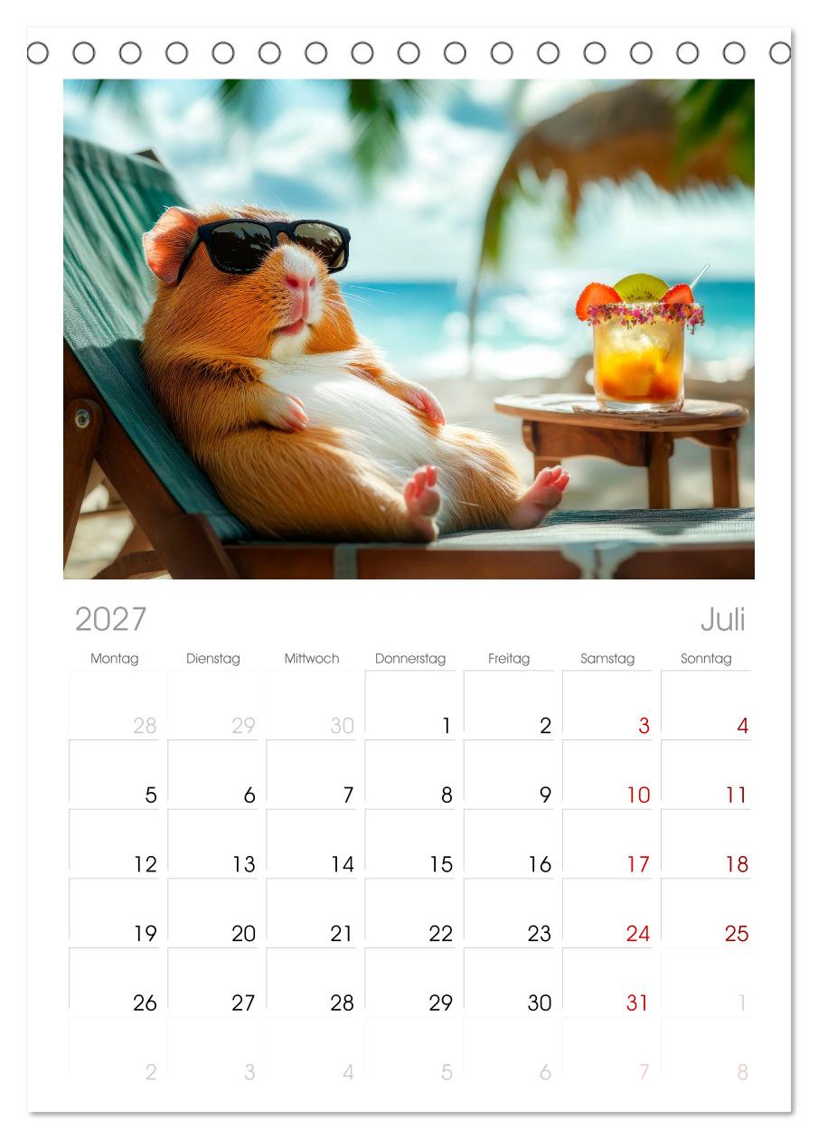 Meerschweinchen - Hauptsache Urlaub