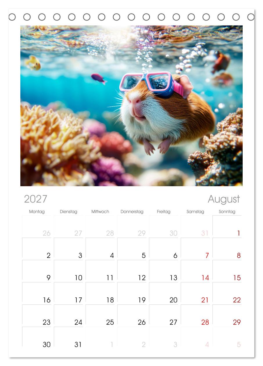 Meerschweinchen - Hauptsache Urlaub
